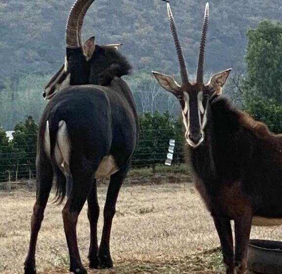 Пансион Ithaba Falls Guest Farm Farm L59, Buffelsvley, Burgersfort, 1150