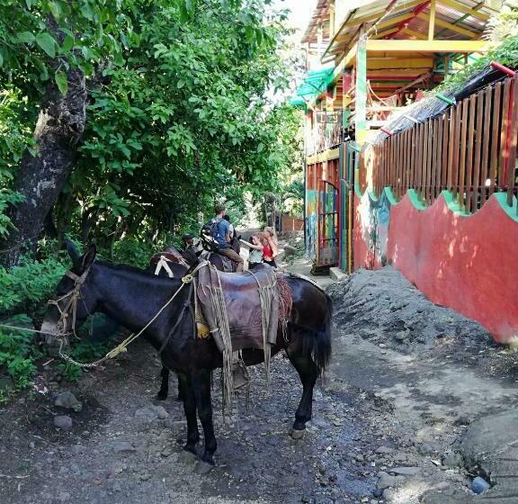 پانسیون Lazy Crab Hostel