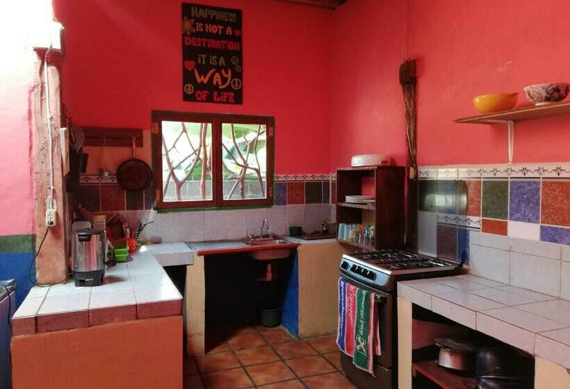 پانسیون Lazy Crab Hostel