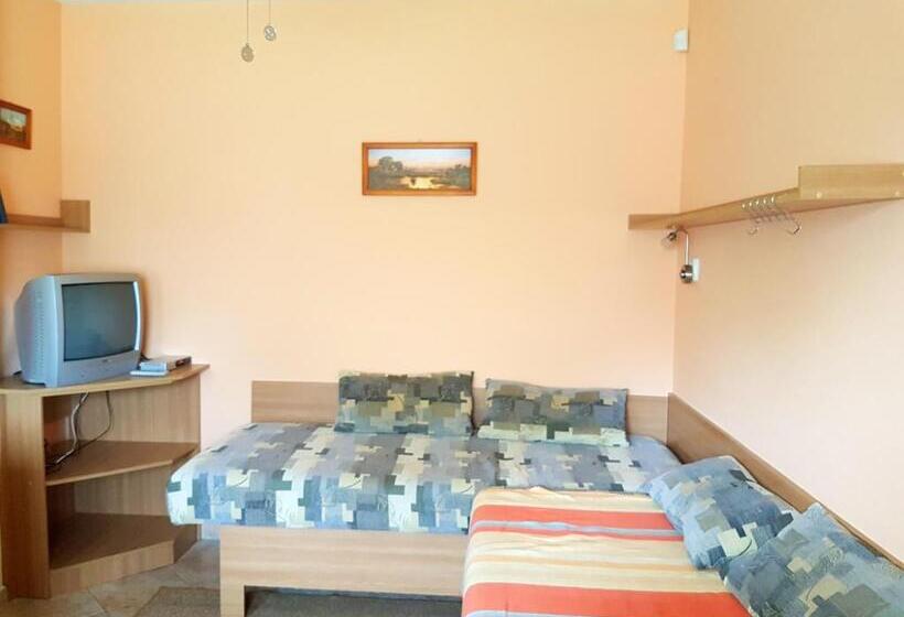 بنسيون Penzion Termál