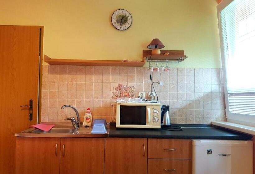 بنسيون Penzion Termál