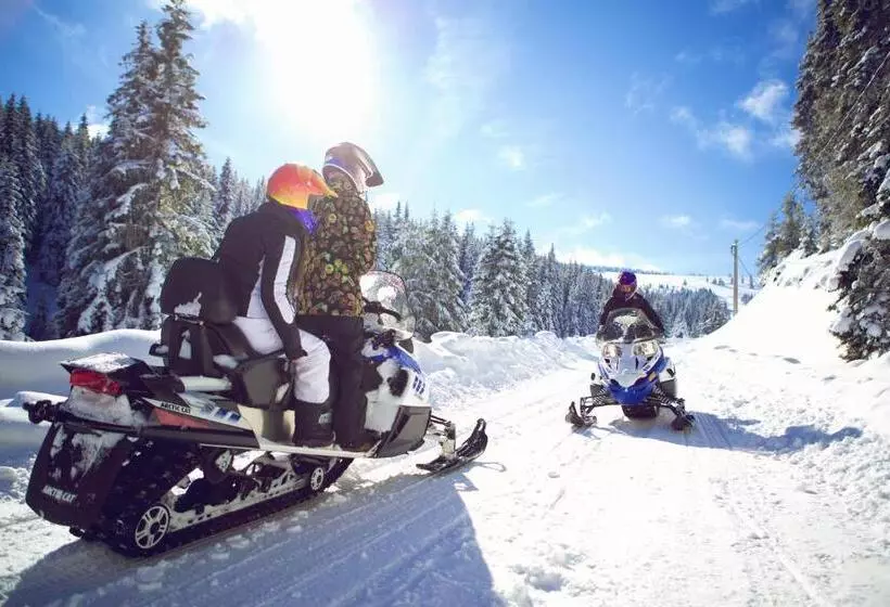 ペンション Poarta Raiului