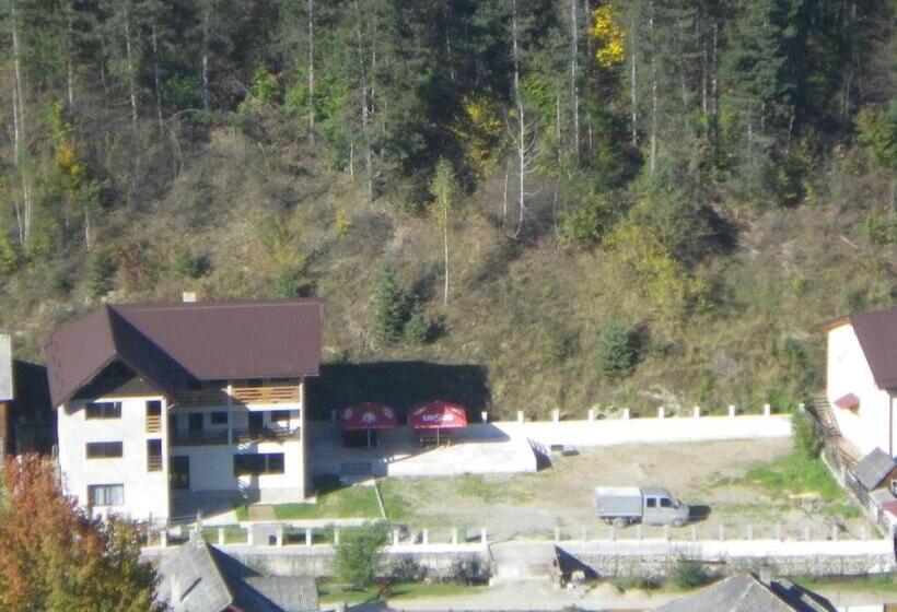 Pensiunea La Rachitele