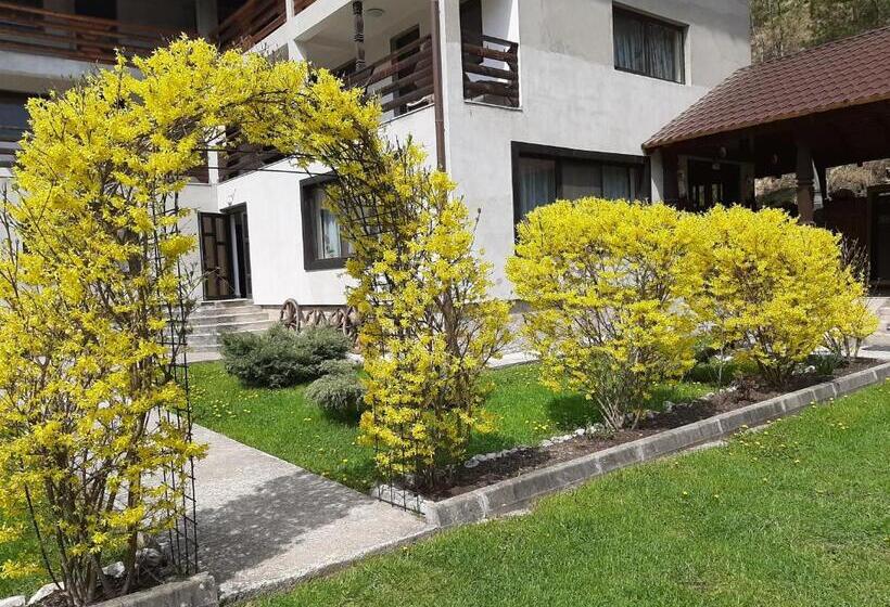 Pensiunea La Rachitele