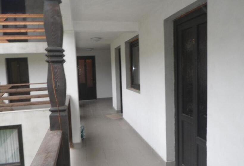 Pensiunea La Rachitele