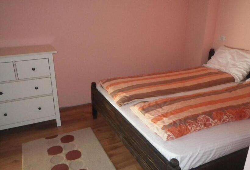 Pensiunea La Rachitele