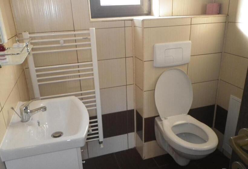 Pensiunea La Rachitele