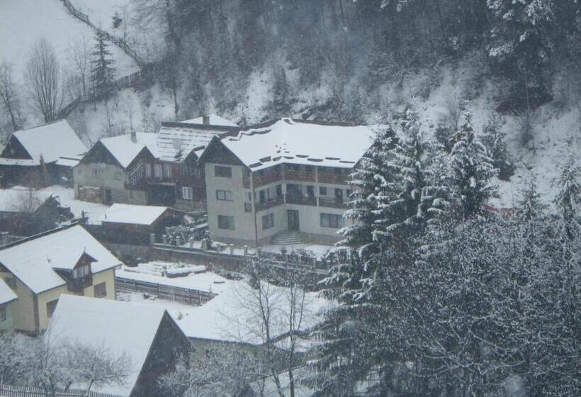 Pensiunea La Rachitele