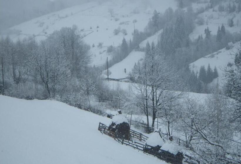 Pensiunea La Rachitele