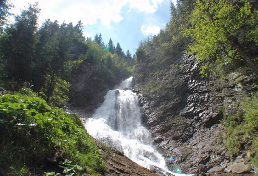 Pensiunea La Rachitele