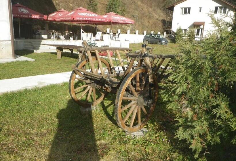 Pensiunea La Rachitele