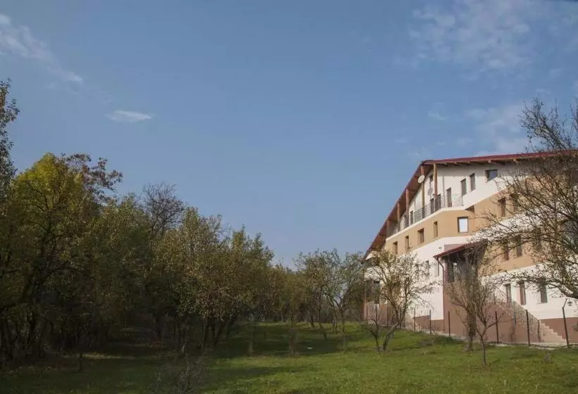 Pensiunea Muntele Verde