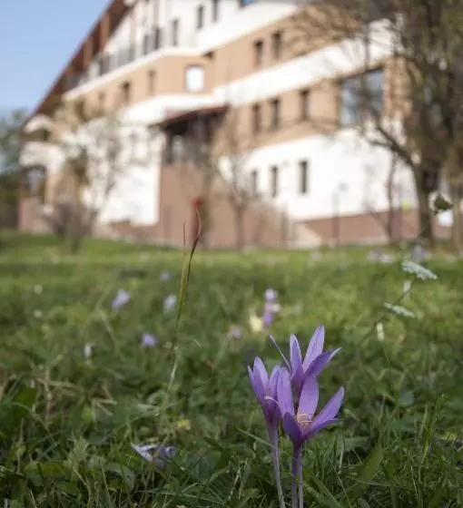 Pensiunea Muntele Verde