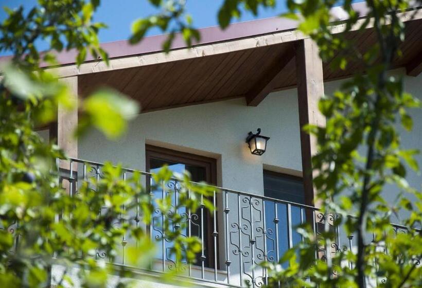 Pensiunea Muntele Verde