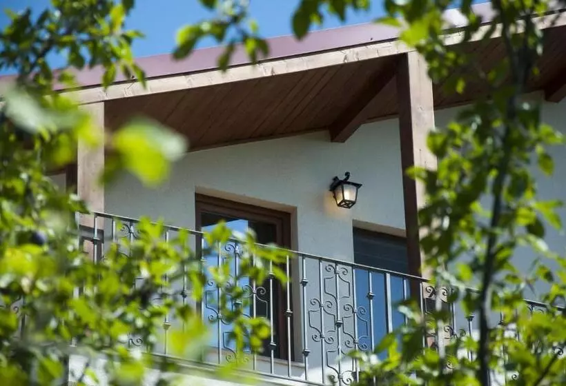 Pensiunea Muntele Verde