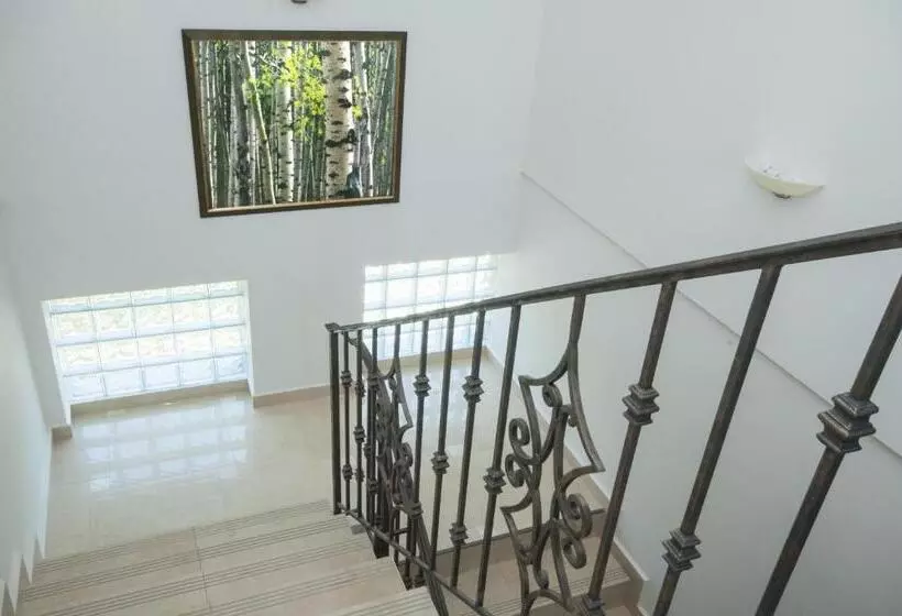 Pensiunea Muntele Verde