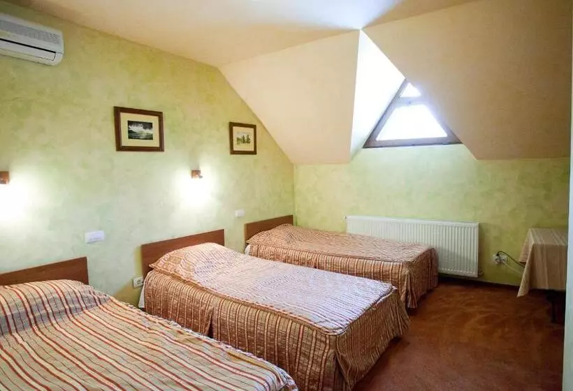 Pensiunea Romeo Tecuci