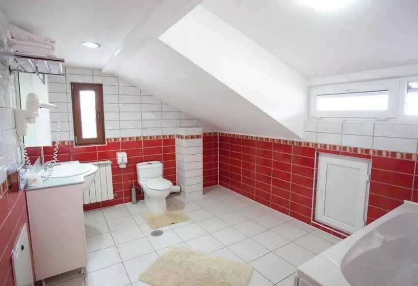 Pensiunea Romeo Tecuci