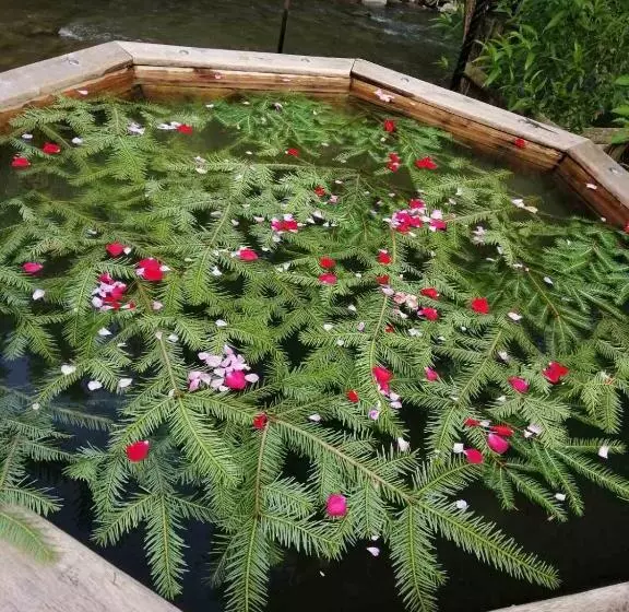 Retkeilymaja Berloga Sinevir