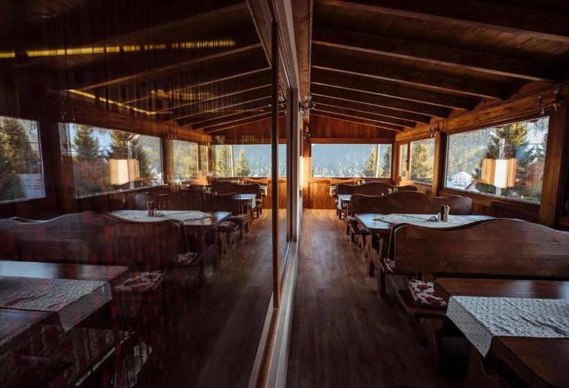 هتل Aries Vârtop