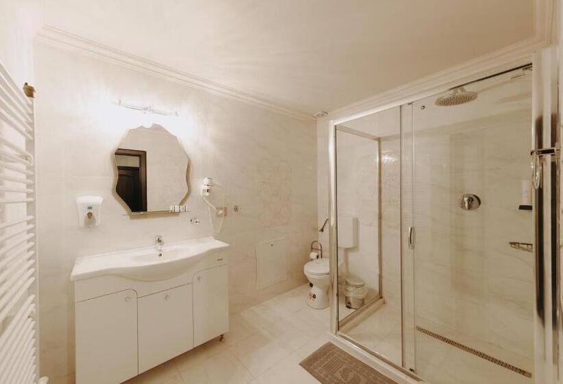 هتل Aries Vârtop