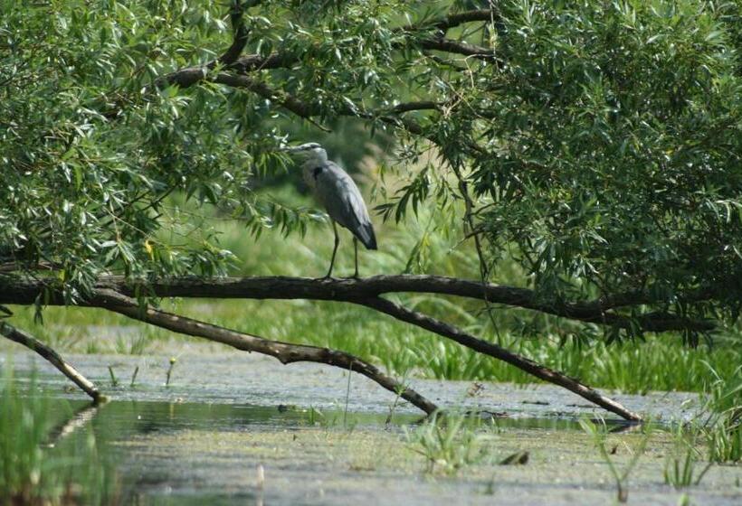 호텔 Ferienparadies Waldidylle, Familiengeführt Seit 20 Jahren Mit Großem Pool Und Viel Platz!