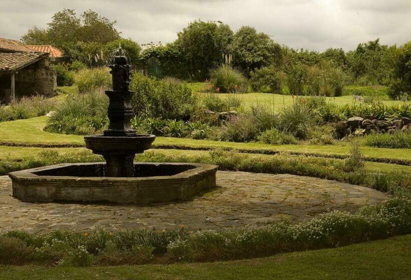 فندق Hacienda San Agustin De Callo