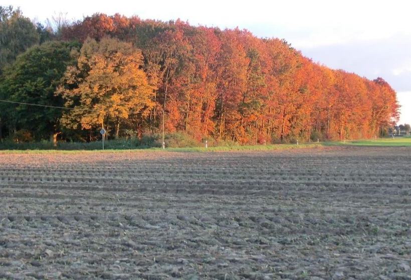 酒店 Haus Nachtigall B&b