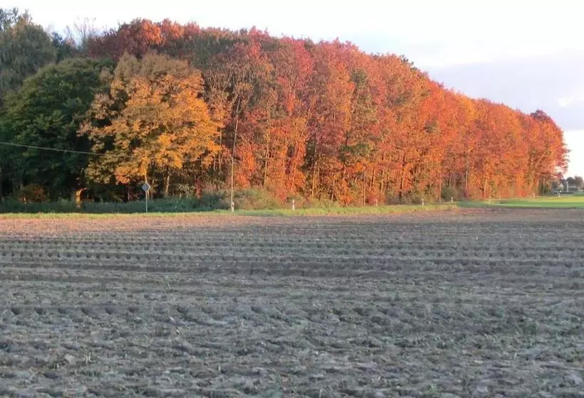 Hotelli Haus Nachtigall   B&b