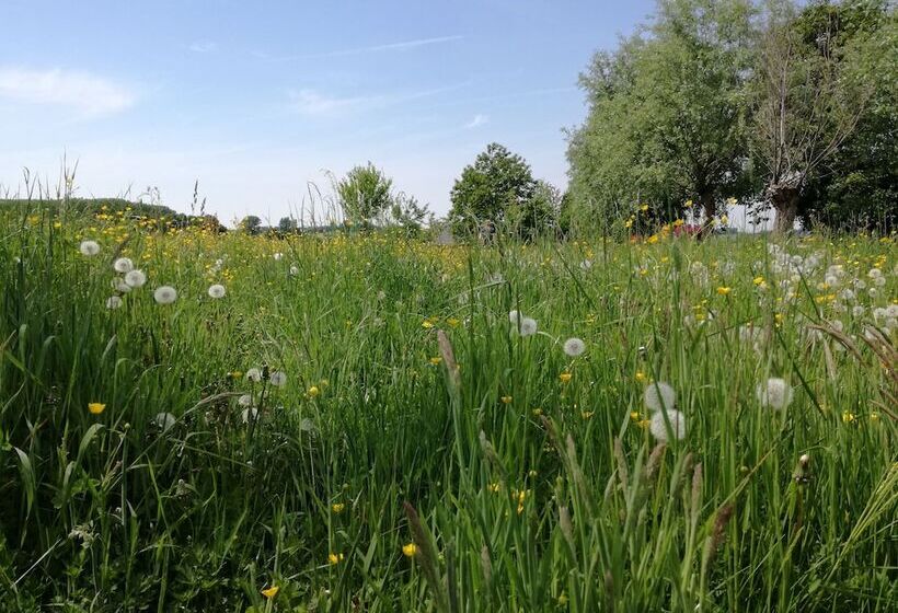 酒店 Haus Nachtigall B&b