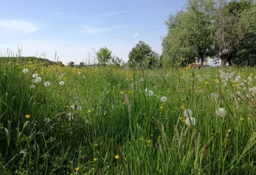 Hotelli Haus Nachtigall   B&b