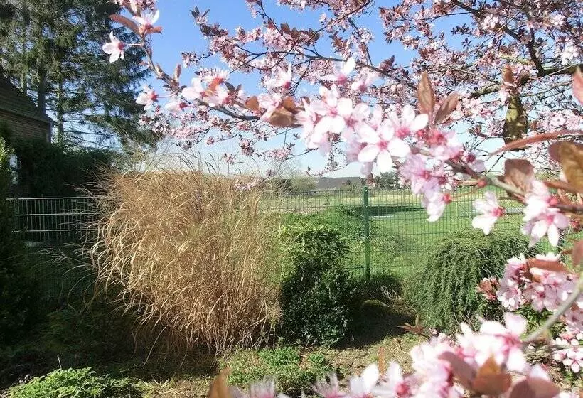 Hotelli Haus Nachtigall   B&b