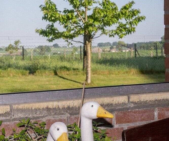 酒店 Haus Nachtigall B&b