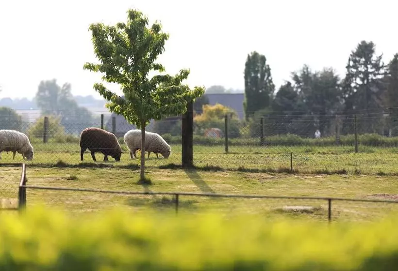 Hotelli Haus Nachtigall   B&b