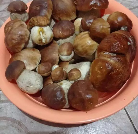 Majatalo Guest House Magnat