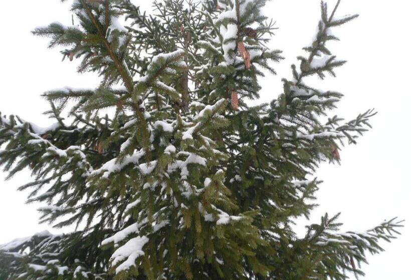 ペンション Guest House Magnat