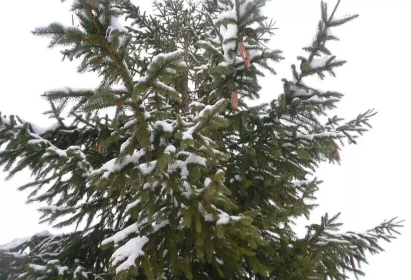 Majatalo Guest House Magnat