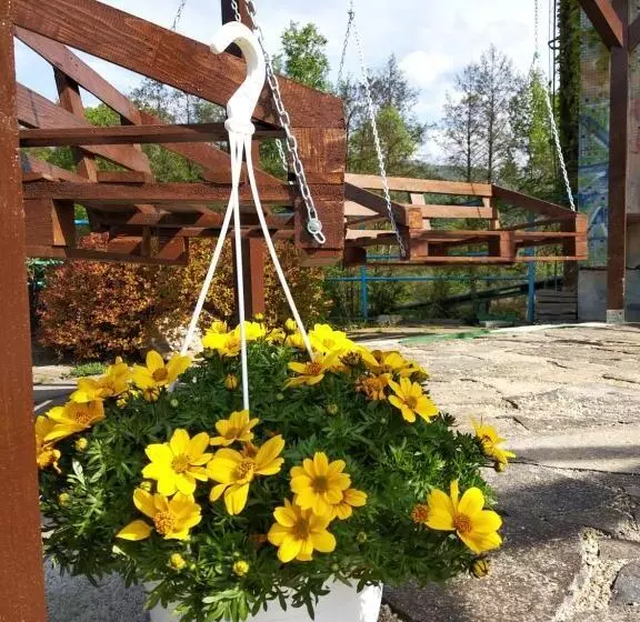 Majatalo Penzion Flipper