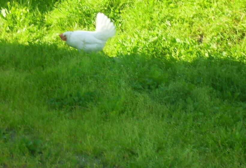 Täljegården Lantgårdshotell