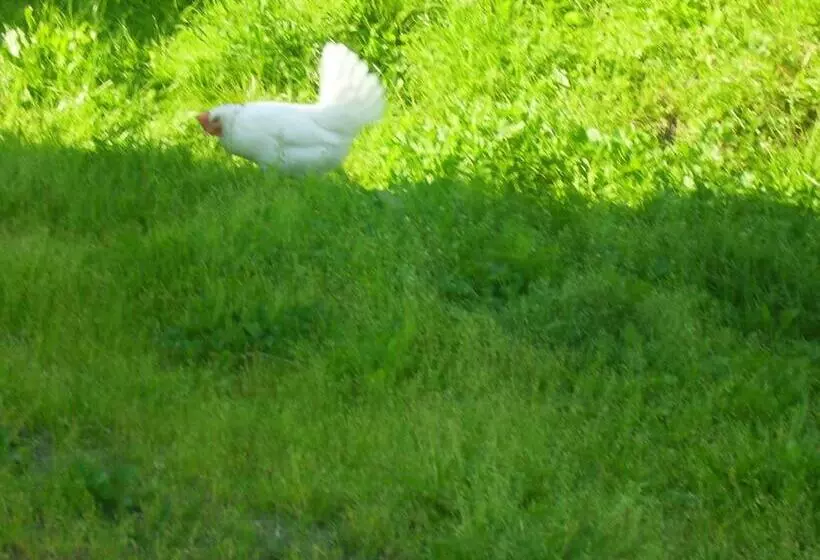 Täljegården Lantgårdshotell