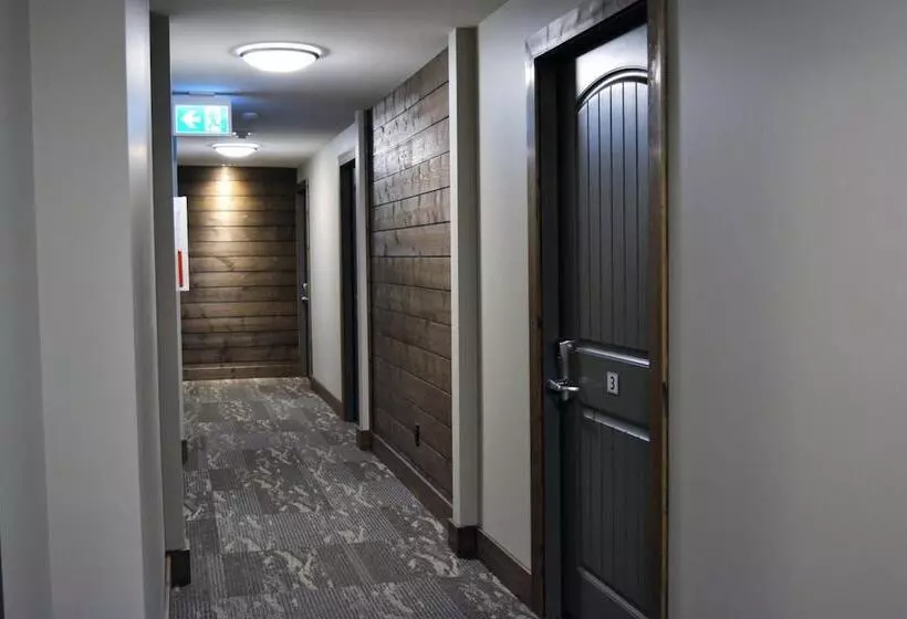 Retkeilymaja Sasquatch Inn