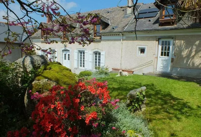 Aamiaismajoitus (B&B) Anousta