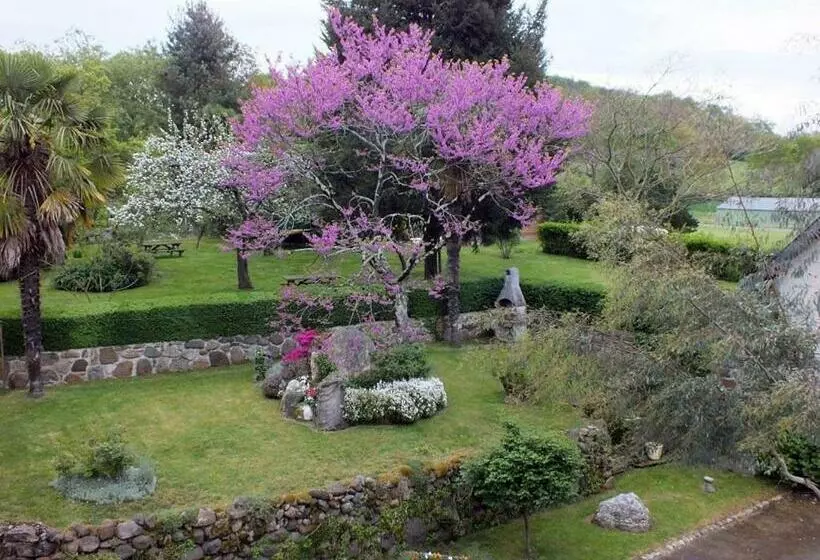 Aamiaismajoitus (B&B) Anousta