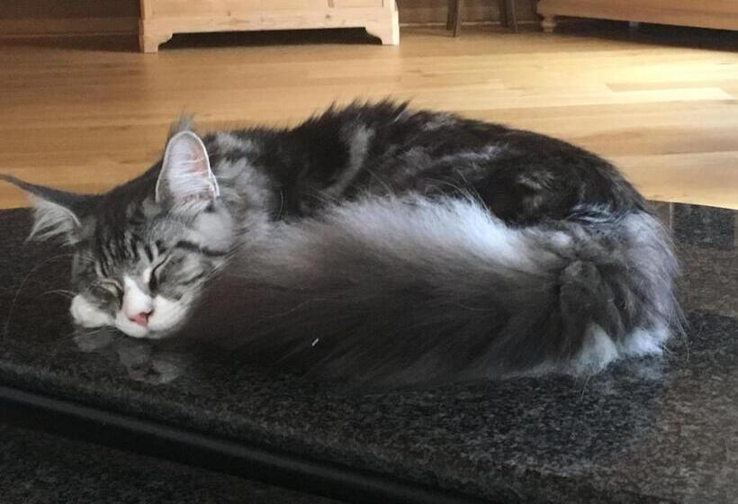 مبيت وإفطار Bnb Haag