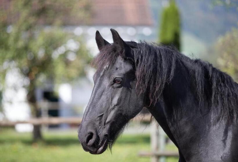 مبيت وإفطار Bnb Haag