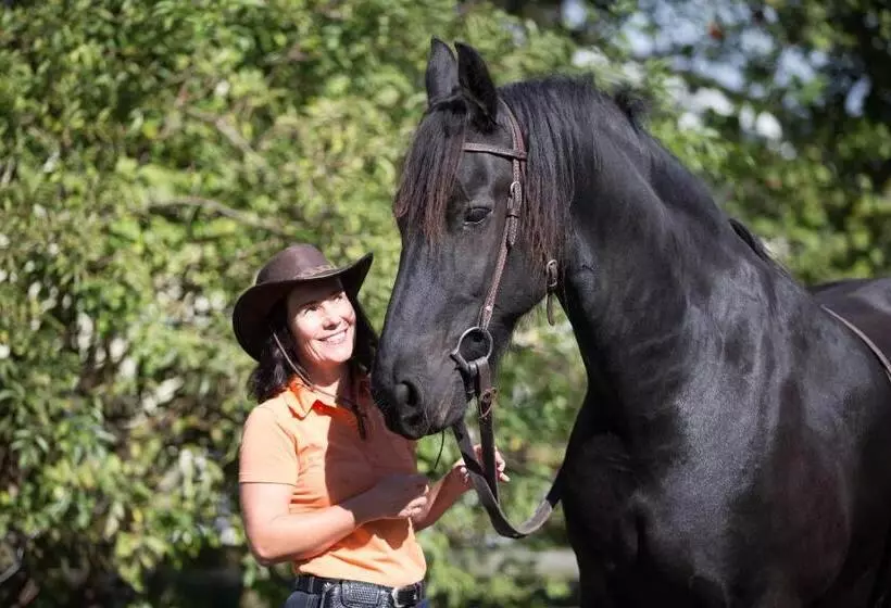 Aamiaismajoitus (B&B) Bnb Haag