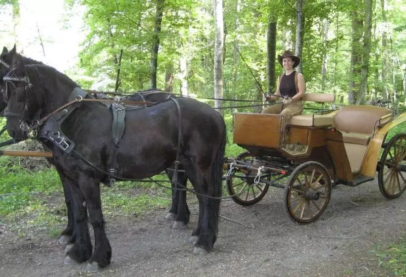 Aamiaismajoitus (B&B) Bnb Haag