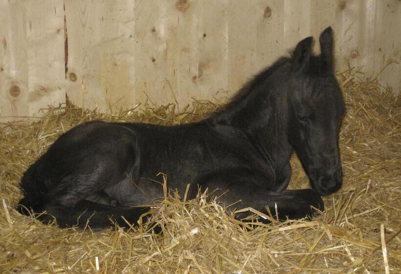 مبيت وإفطار Bnb Haag