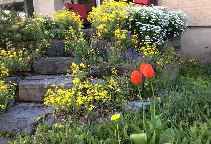 Aamiaismajoitus (B&B) Bnb Haag