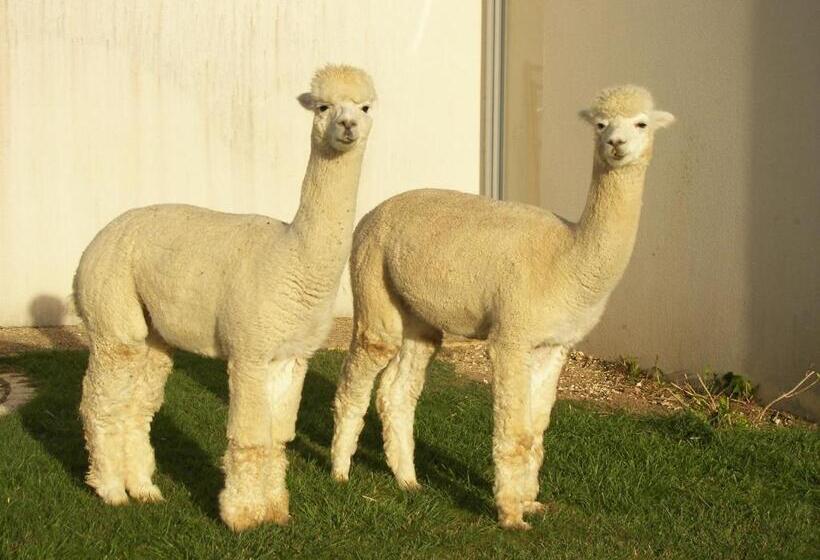 צימר Chambre D'hôtes Les Ormeaux